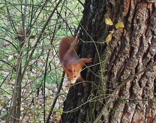 citation rencontre insolite