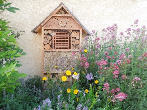 Hôtel à Abeilles Sauvages UNUS | Bois Naturel + Tiroir D'Observation Transparent | 29,5x18,5x16,5 Cm