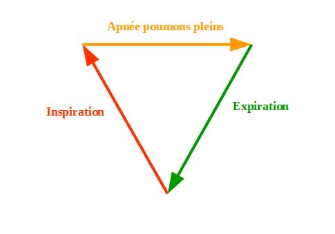 Schéma de la respiration en triangle dynamisante