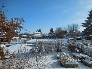 le jardin sous la neige